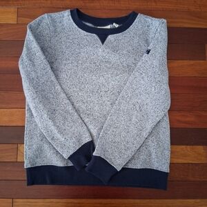 LL Bean Blue Sweater